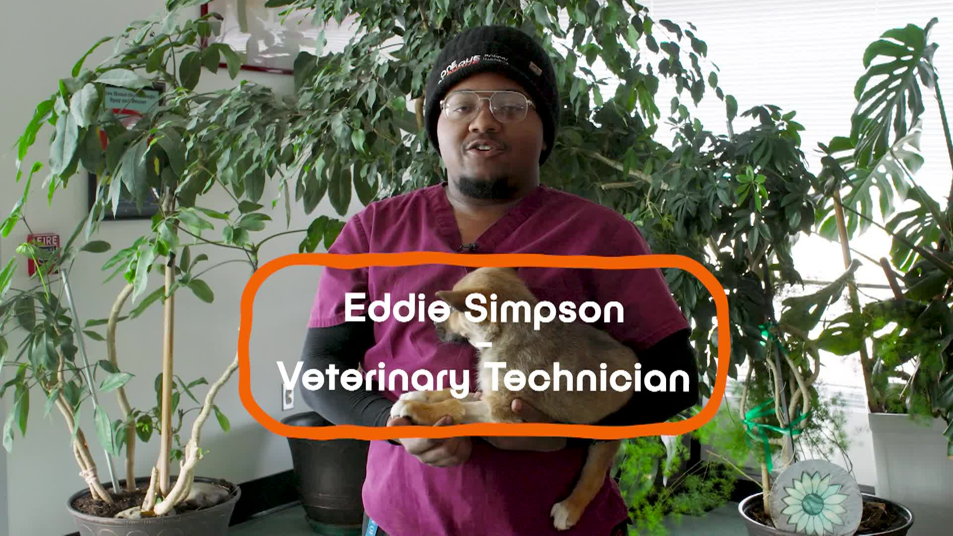 PETS 9 Preventative Care