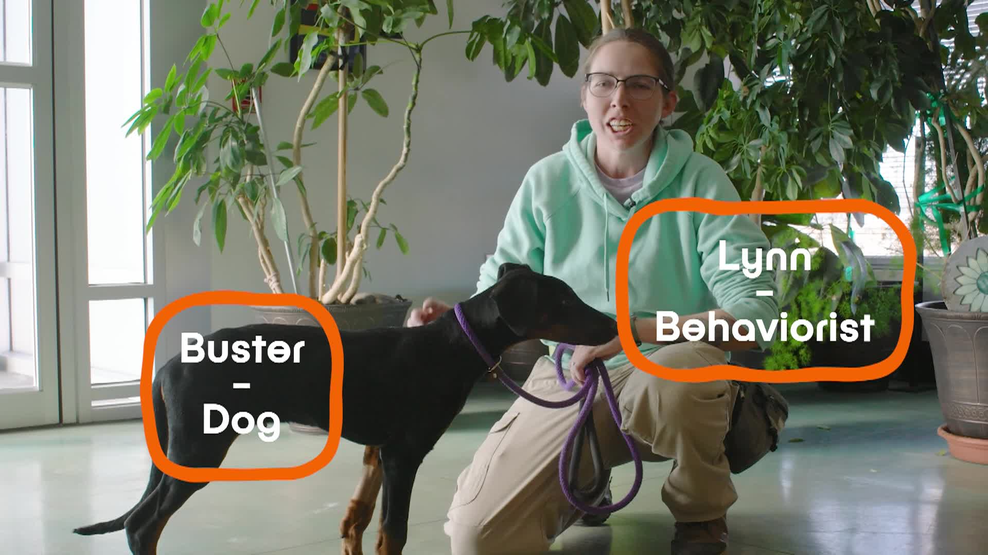 PETS 12 Walk Your Pet