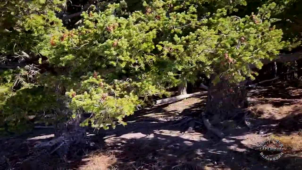 The James Blackburn Experience S3Ep14