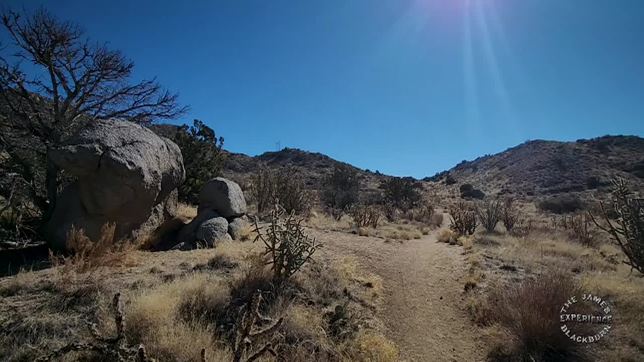 James Blackburn Experience E19S3