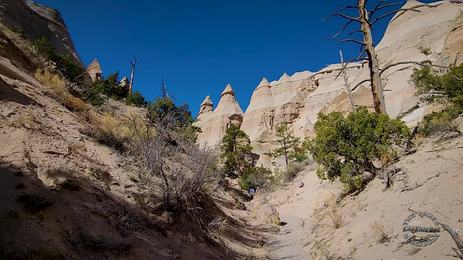 The James Blackburn experience S3 Ep22