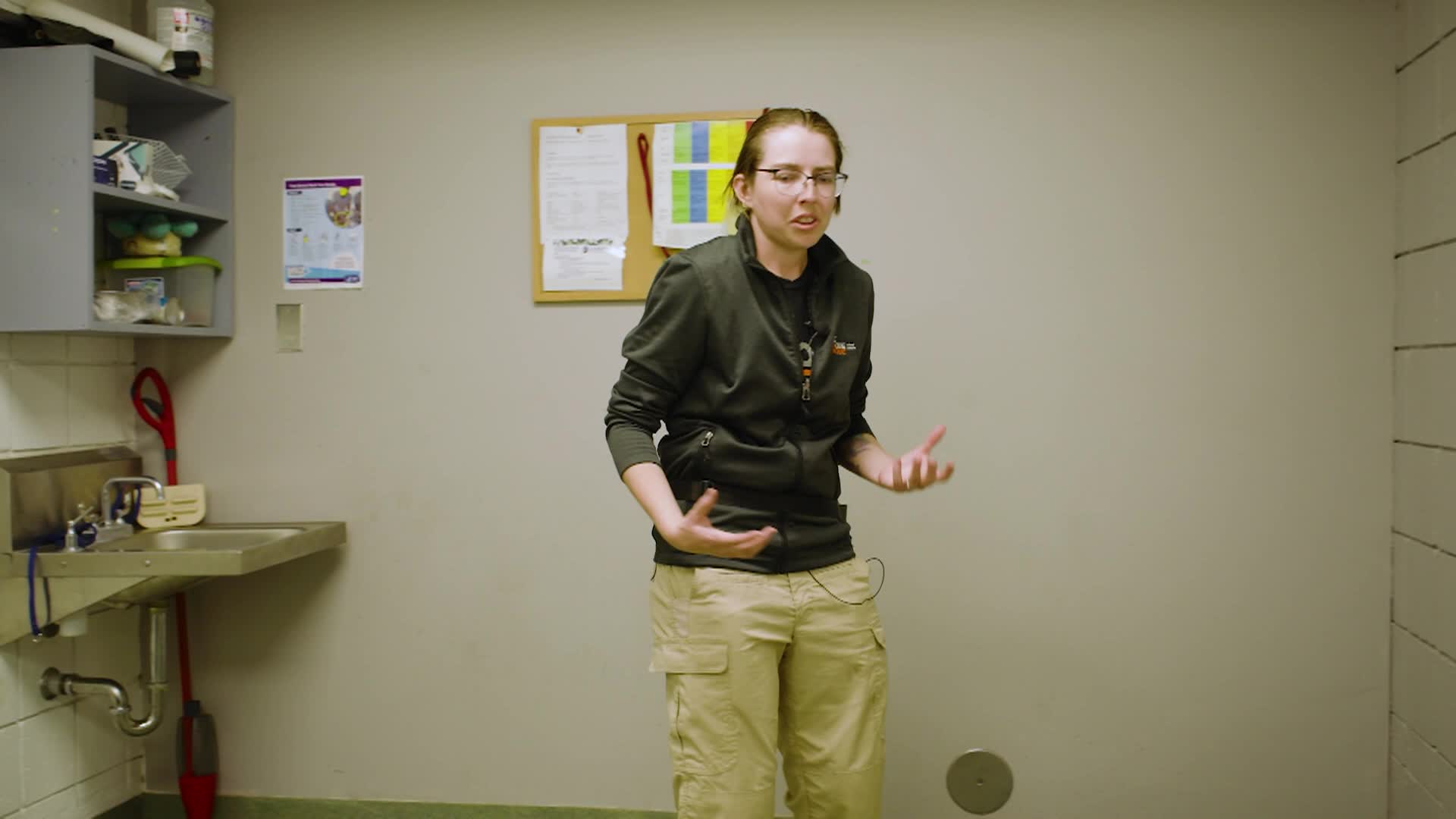 PETS 16 Service Animals Therapy Dogs Emotional Support Animals