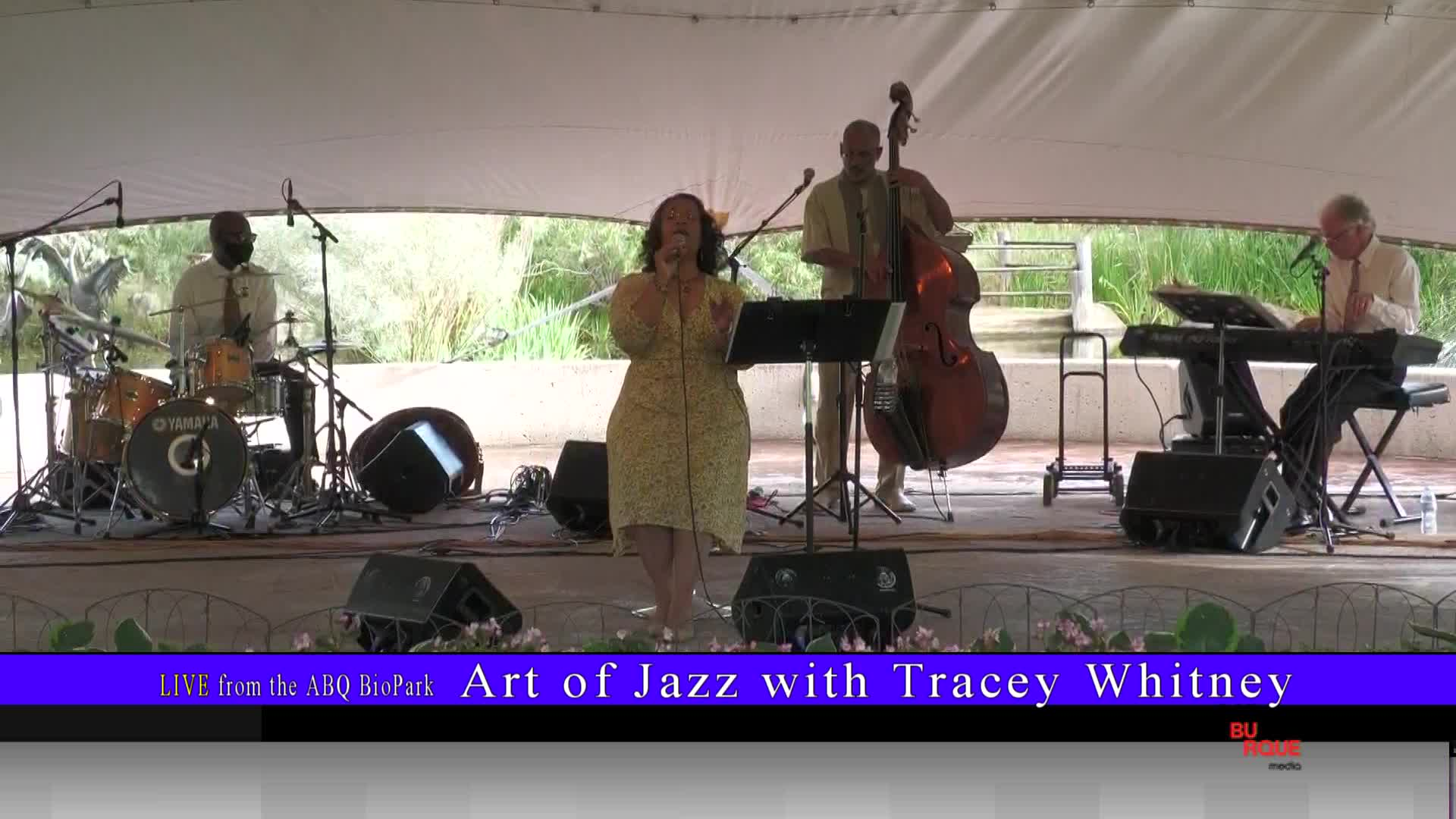 BioPark Music | Art of Jazz